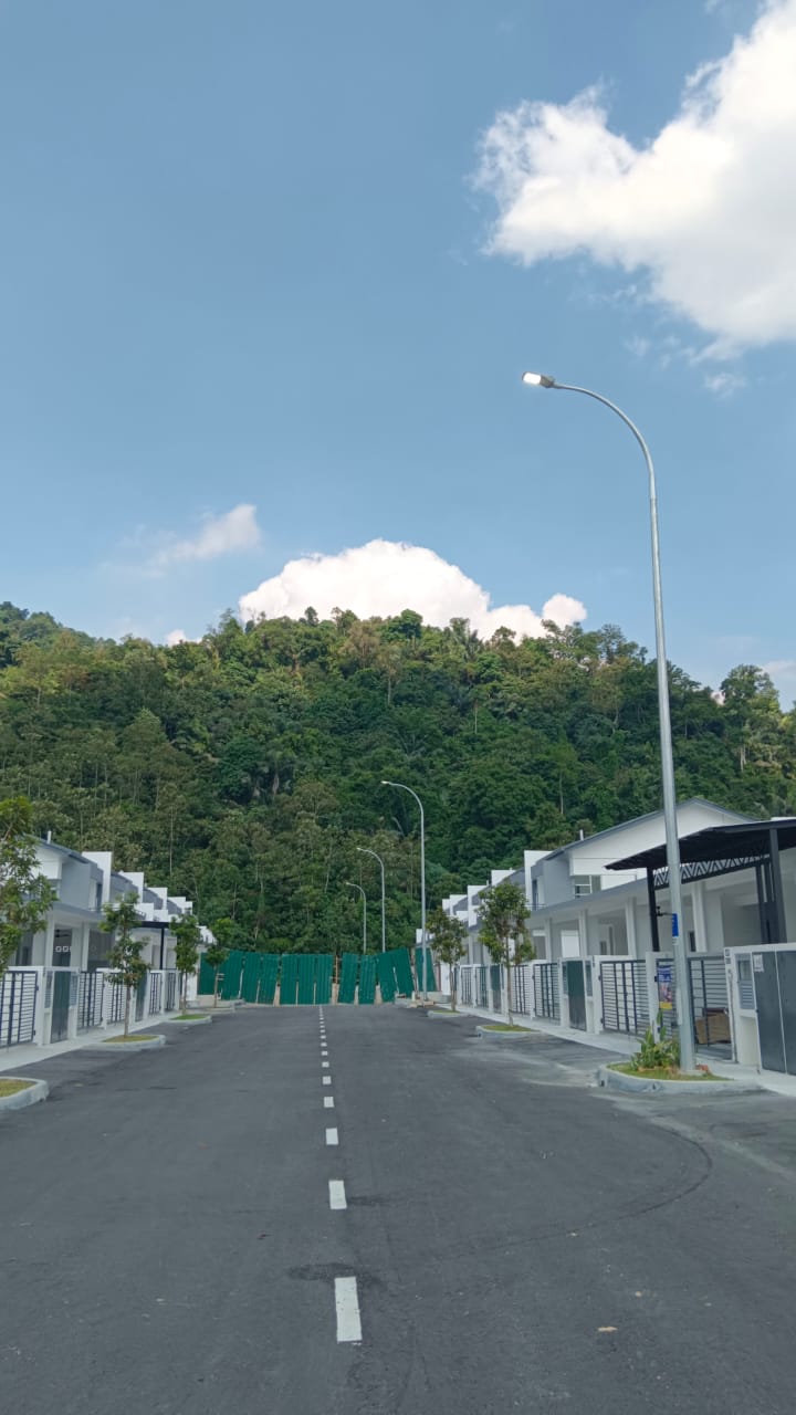 Street Light with Mountain View
